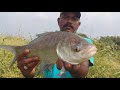 Fishing | Catfish catching | Rohu fishing