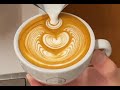 Winged Tulip | Latte Art Skills