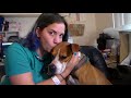 I had another service dog? WHAAAAA-? | The story of Mira Bella