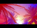 1 Hour Visual In Full HD / Tropical Sunset Background Loop