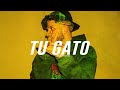 Instrumental Reggaeton Estilo Dei V “Tu Gato” | Beat Reggaeton Perreo Type 2024