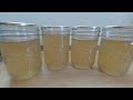 How to Make HERBAL JELLY with Lemon Balm - Low Sugar // #JamitUpJune2024