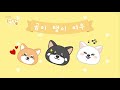 강아지에게 신발을 신겼더니 반응이...ㅋㅋㅋ