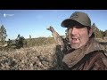 Over 1 HOUR Of The Best Merriam Hunts! | Turkey Hunting Out West | Spring Thunder