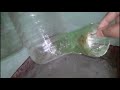 Rat Traps Homemade , How to Make a Simple Mouse Trap from Plastic Bottle