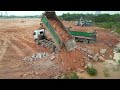 Part 52| Best Technique Construction Skill Operator Bulldozer Pushing Rock, Dump Truck Dumping Rock