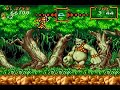 Super ghouls 'n ghosts advanced - Secret 3