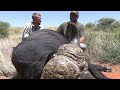 How to hunt Buffalo with a double rifle