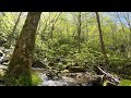 [6 Hours] Mountain Stream Sounds | Relaxing Nature Sounds
