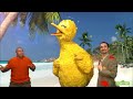 Sesame Street: The Best of Big Bird Compilation | 1 hour!