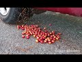 Crushing Crunchy & Soft Things by Car! - 3 Minutes of Crushing Paintballs by with Car