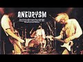 Nirvana Aneurysm Backing Track For Guitar With Vocals