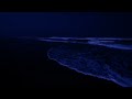 Ocean Sounds For Deep Sleep 4K | Beat Insomnia With The Best Ocean Waves Sounds At Night