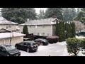 ICE ICE BABY! The Vancouver, WA Ice Storm of 2024🥶🌨️🧊