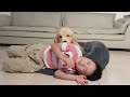 Sleeping in a Golden Retriever's Bed | Funny Dog Reactions