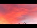 crazy Sunset video#sunset