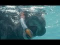 Shot on BURANO: The Knowing | a film by Emmanuel Lubezki, Cristina Mittermeier and Paul Nicklen