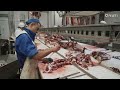 Modern Camel Meat Processing Factory 🐪 - Camel Farming Technology Produces Meat and Milk 🐫