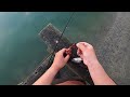 Wharf Fishing Serenity: Variety & Adventure | NZ Fishing