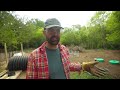 Building a chicken wire garden fence | Homestead Diary