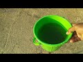 How to grow coriander in water only | Gardening 4u