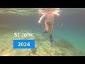 Tropical Paradise Snorkeling Escapade in St. John, USVI