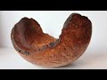 Woodturning - Oak Mushroom Burl to Bowl