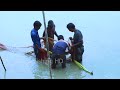 fishing video বাদাই জালে কি মাছ পেলাম দেখুন Village Fishing HD