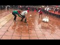 Vietnamese Folk Games: Funny Catch Pigs and Ducks Blindfolded