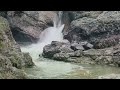 Forest River Nature Sounds - Mountain Stream - 1 Minute Birdsong Version - Ambience Series