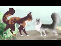 How I draw Warrior Cats (or just cats in general)
