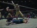 The Fabulous Ones Destroy The Moondogs