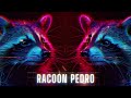 TECHNO ☣️ Raffaella Carrà - Pedro (Jaxomy _ Agatino Romero Remix) TikTok Song