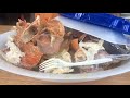 සිඩ්නි මාලු මාර්කට් එක | Sea food at Sydney Fish Market