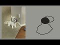 drawing my dog until she becomes an incomprehensible shape