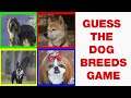 Guess the DOG BREED Challenge | Dog Names Quiz to Test Your Knowledge