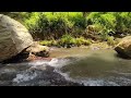 The sound of the river flowing gently during the day makes you cool and relaxed, ASMR