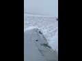 Plane slides off runway at Chicago airport during snowstorm | ABC7