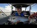 Bait Fishing Sydney Wrecks With My Boys 🎣 #fishing #fish #baitfishing