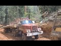 Logging Truck Nembak Kecepatan Tinggi (Logging Tua Vs Logging Muda)