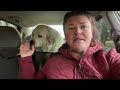 Back Seat Extender for Dogs, Dog Car Seat Cover Hard Bottom Review