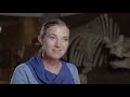 The Story of Scotty The T.rex - Biggest in the World