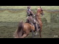 Saddle Seat Equitation: a Test of Horsemanship