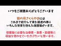 なぜこんなところに子猫！？小さい身体でよく頑張ったね