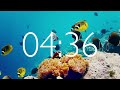 20 Minute Timer with Relaxing Music and Alarm 🎵 ⏰