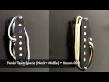 Fender Texas Special & Lindy Fralin Blues Special pickups Demo / Comparison