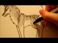 How 2 Draw a Wolf