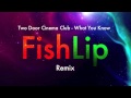 Two Door Cinema Club - What You Know (FishLip Remix)[DRUM AND BASS]