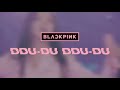 〔 concert effect + fanchant 〕blackpink - ddu-du ddu-du