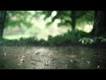[No Ads] Sound of Rain and Thunder - 1 Hour Relaxing Sound for Sleep